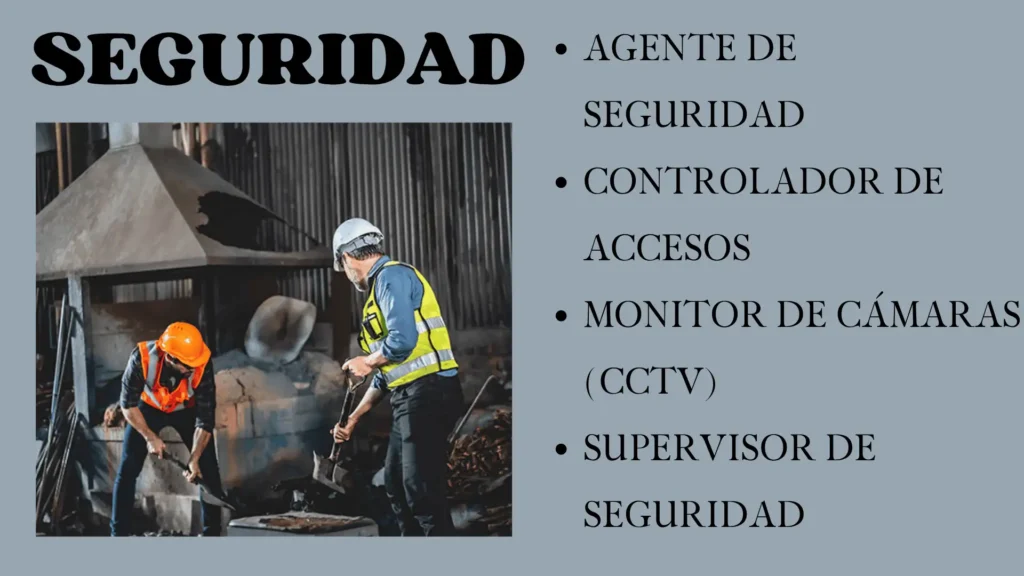 SEGURIDAD